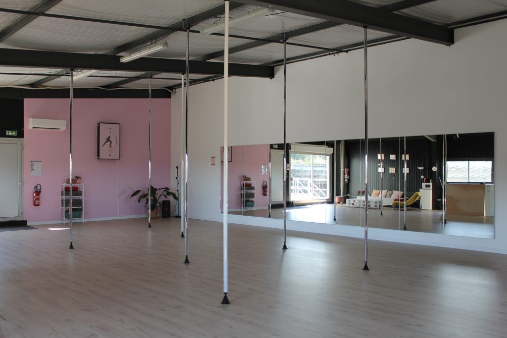 Vue d'ensemble du studio L'Art en Vol à Saint-Jean-de-Védas, école de pole dance et de disciplines aériennes près de Montpellier.